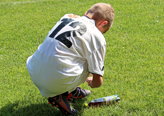 林电影节的 林电影节的