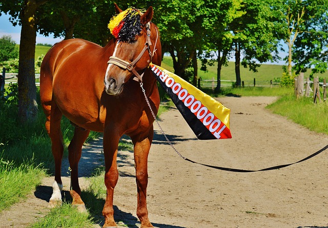以及未来对 以及未来对