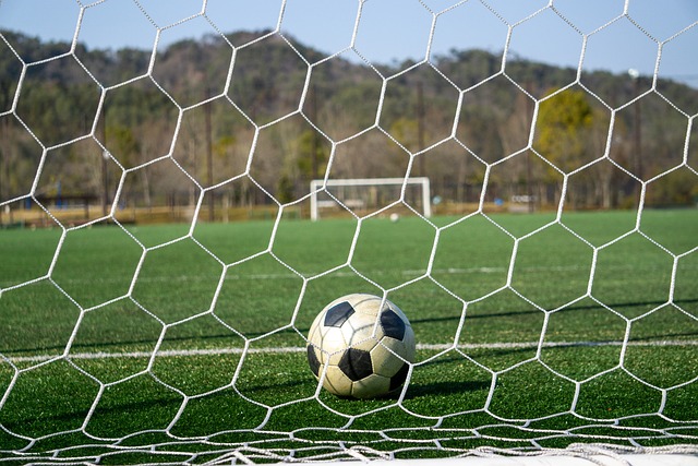 的骨幹力量 的骨幹力量