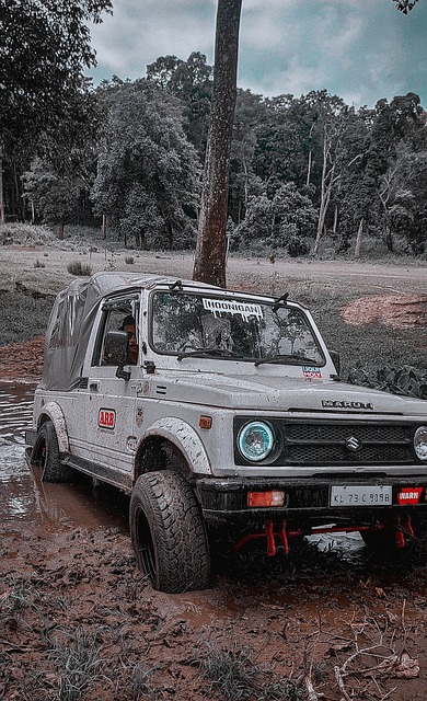 遗产的保护 遗产的保护