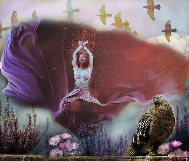 或相关组织 或相关组织